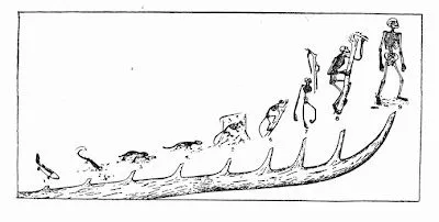 Evolución.