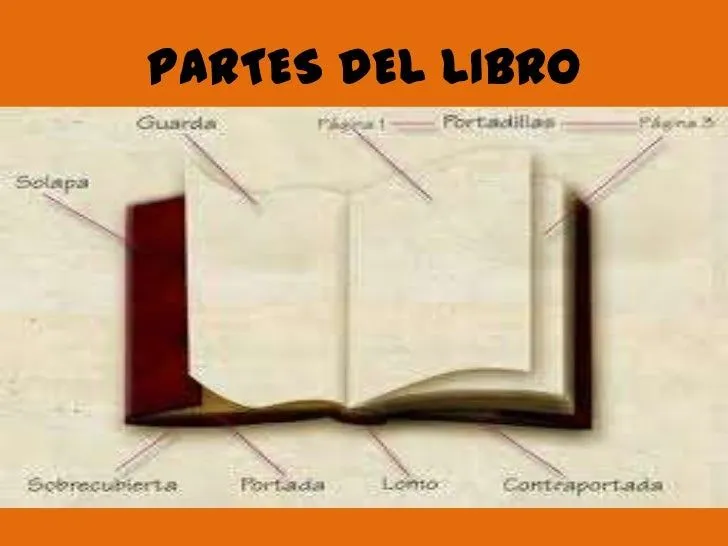 evolucion-del-libro-7-728.jpg? ...