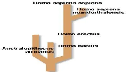 evolucion004.jpg