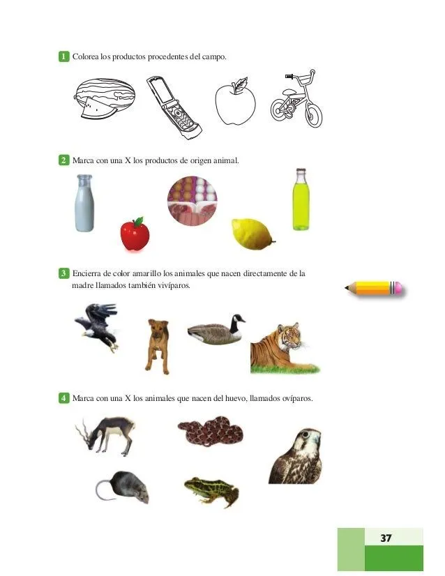 Exámenes de 1° a 6°