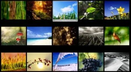 Excelente colección de imágenes sobre naturaleza, vida y alegría ... Excelente colección de imágenes sobre naturaleza, vida y alegría ...