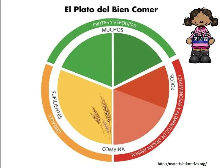 Excelente material para explicar y armar, el plato del bien comer para colorear | Material Educativo Excelente material para explicar y armar, el plato del bien comer para colorear | Material Educativo
