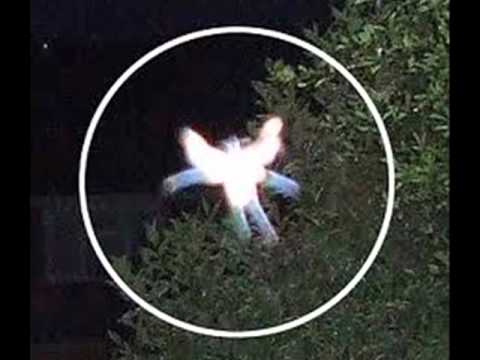 EXISTENCIA SOBRE LAS HADAS.wmv - YouTube