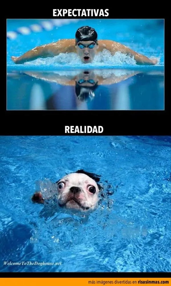 Expectativas y realidad: Nadando