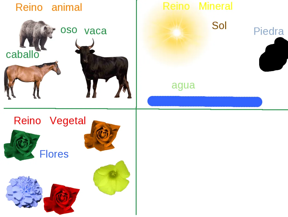 Experiencia con mi xo: Los Tres Reinos de la Naturaleza :Reino ... Experiencia con mi xo: Los Tres Reinos de la Naturaleza :Reino ...