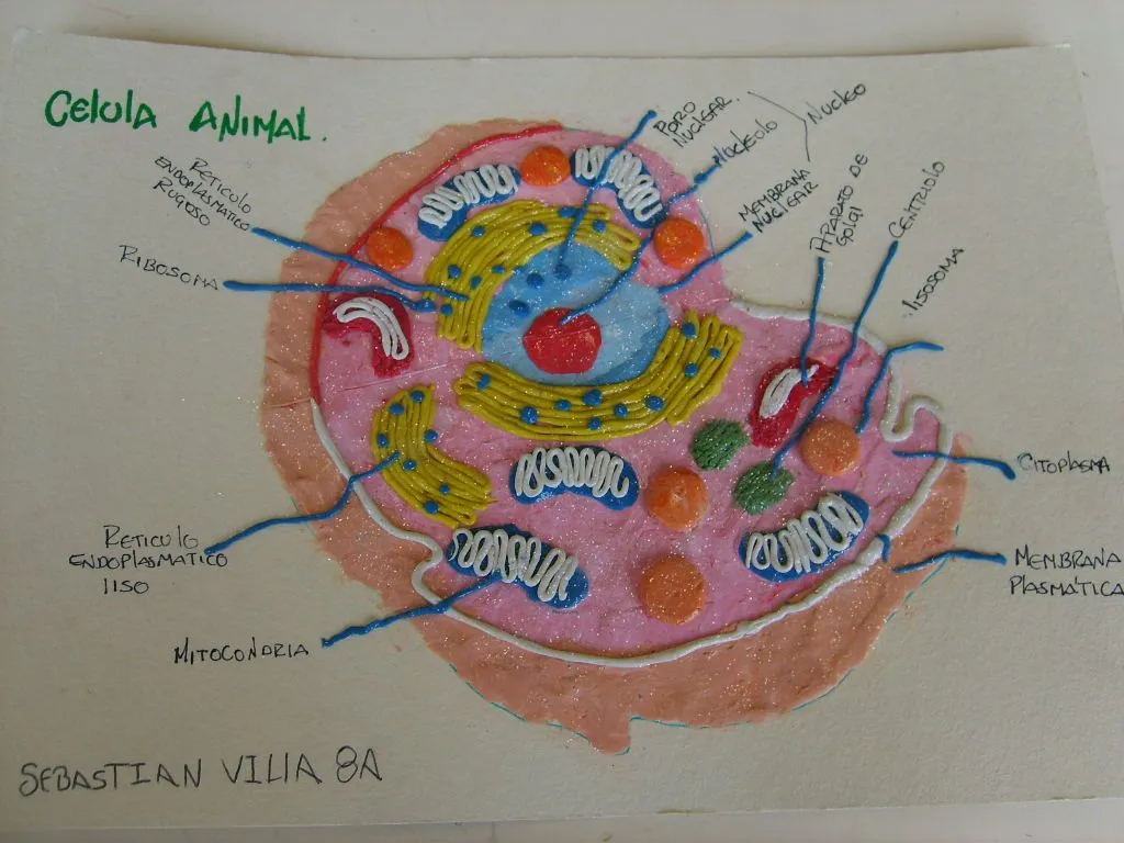 EXPERIENCIAS DE CIENCIAS EN EL IES LA COMA: mayo 2011