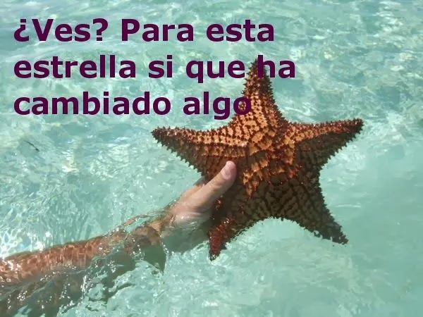 Experimentando Cambio. ¡En Movimiento!: Cuento. La estrella de mar