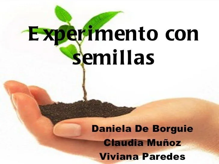 Experimento con semillas