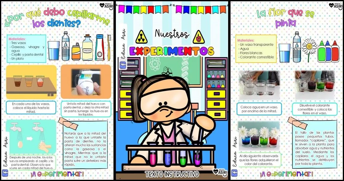 NUESTROS EXPERIMENTOS – Imagenes Educativas