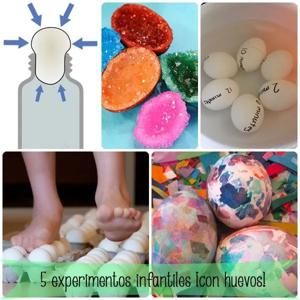 experimentos-ninos-huevos.jpg