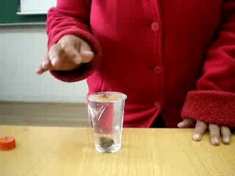 EXPERIMENTOS SENCILLOS - YouTube