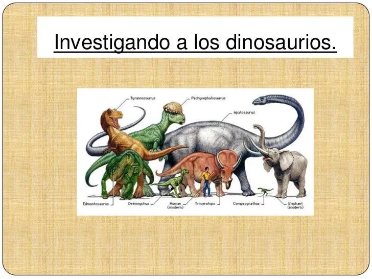 Explicacion dinosaurios para niños preescolar - Imagui Explicacion dinosaurios para niños preescolar - Imagui
