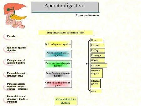 Explicación “El Sistema Digestivo” | Tercer Ciclo Salesianos Explicación “El Sistema Digestivo” | Tercer Ciclo Salesianos