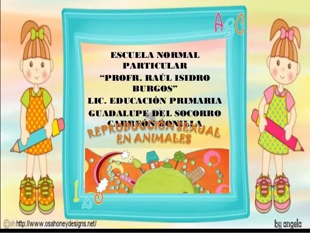 Explicación de oviparos y oviviparos