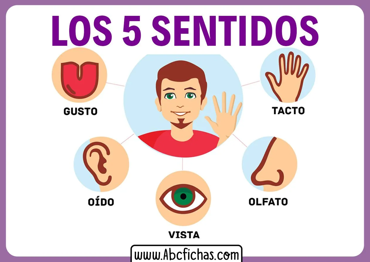 Explicación de Los 5 Sentidos para Niños Pequeños Explicación de Los 5 Sentidos para Niños Pequeños