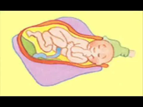 como explicar a un niño su nacimiento - YouTube como explicar a un niño su nacimiento - YouTube