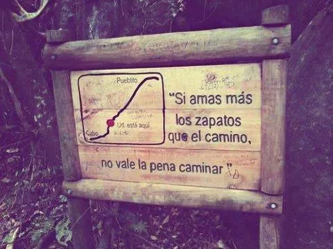 Cómo le explico a mis mariposas que no me quieres.