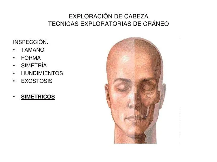 exploracion-de-cabeza-y-cuello ...