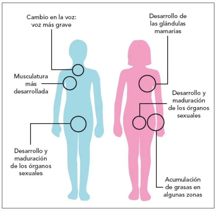 Exploradores del Conocimiento: diciembre 2010