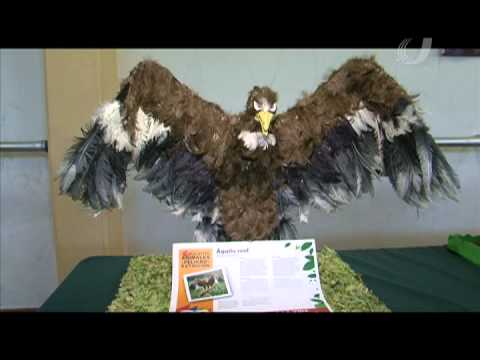 Expo animales en peligro de extinción Prepa Dos - YouTube