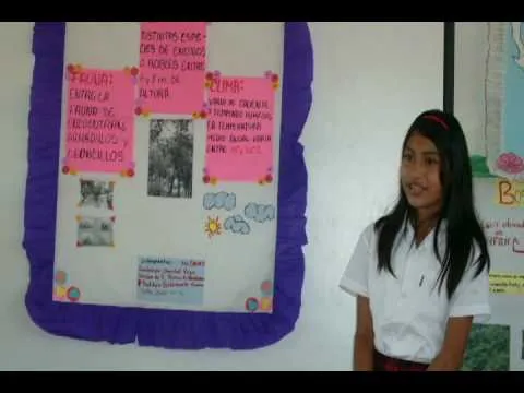 La exposición en clases... un recurso olvidado - YouTube