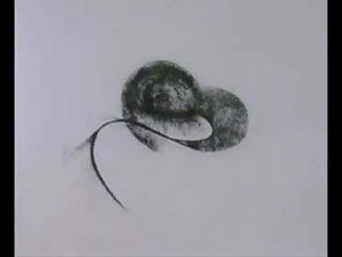 Exposicion de dibujo a carboncillo - YouTube Exposicion de dibujo a carboncillo - YouTube