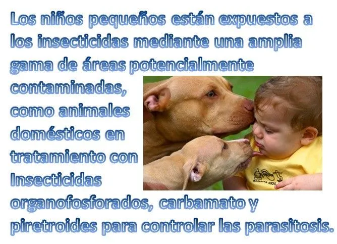 Exposición de Niños a Pesticidas a través de Animales Domésticos ... Exposición de Niños a Pesticidas a través de Animales Domésticos ...