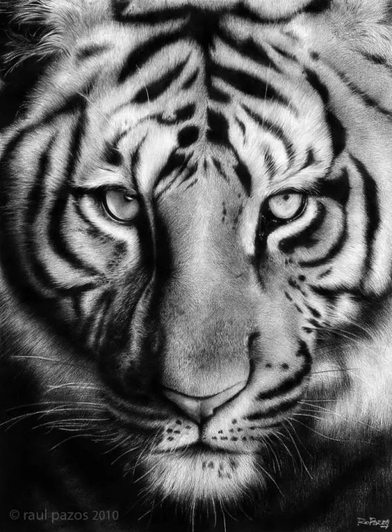 Extinción Raul Pazos - Artelista.com