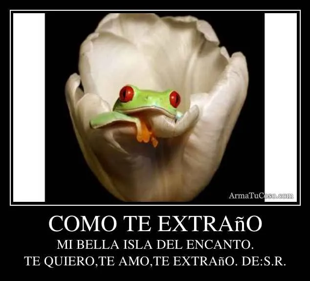 COMO TE EXTRAñO