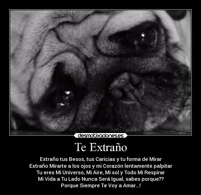 Te Extraño | Desmotivaciones