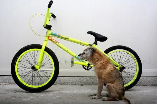 EXTREMA REACCION: Data BMX Aroon ross