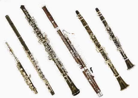 Cuando Fa no es Re: INSTRUMENTOS DE VIENTO MADERA Cuando Fa no es Re: INSTRUMENTOS DE VIENTO MADERA