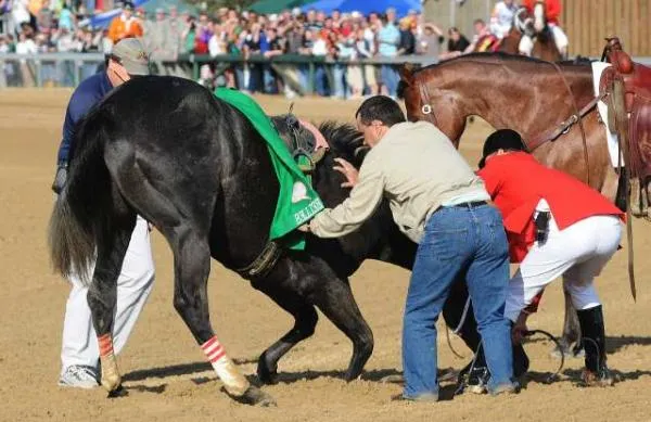 faada - La realidad del negocio de las carreras de caballos