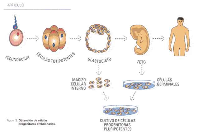 FABA Informa | Acta Bioquímica Clínica Latinoamericana