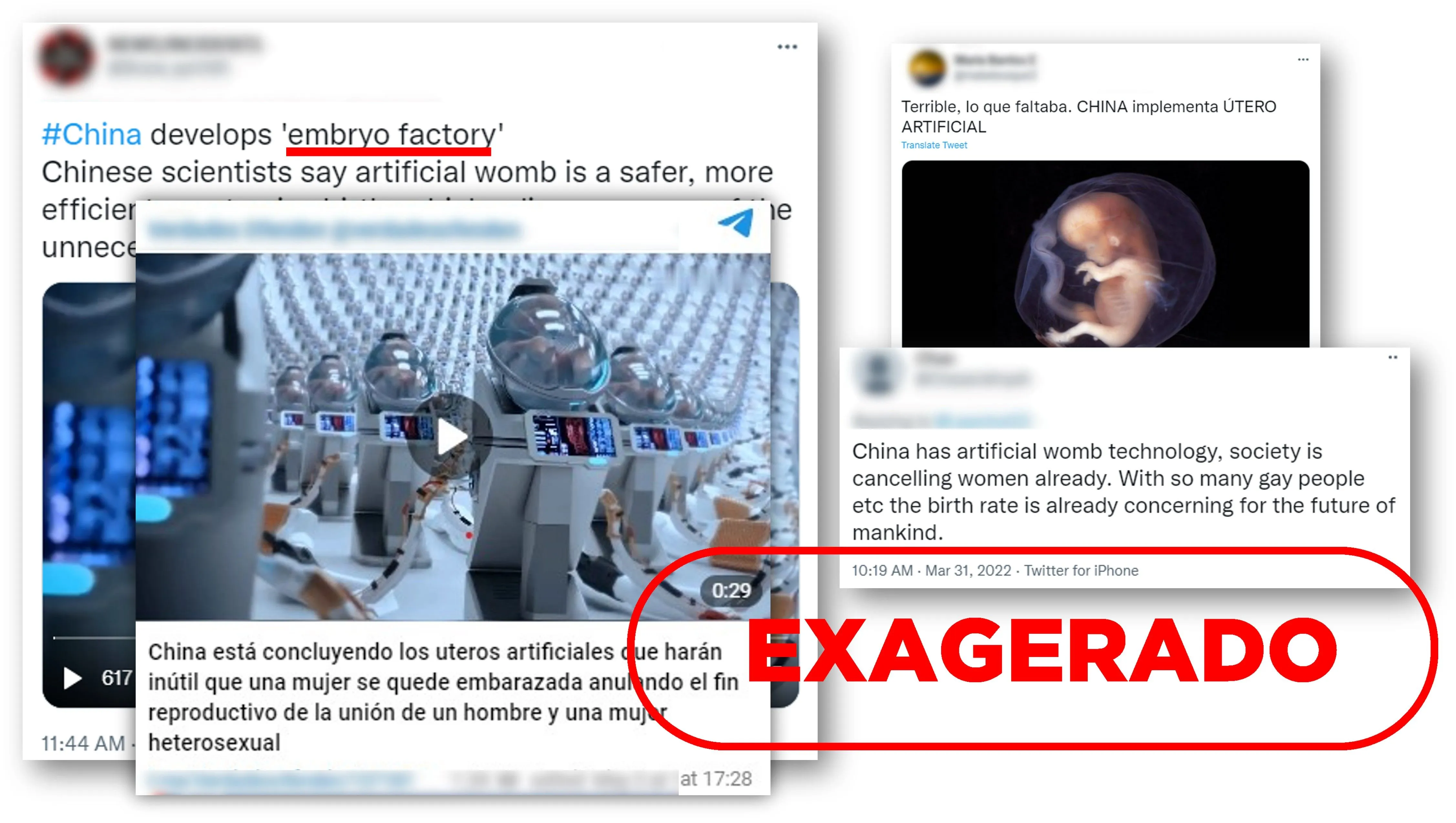 No existe una fábrica de embriones humanos en China No existe una fábrica de embriones humanos en China