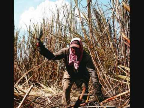 LA FABULA DE LA GOLONDRINA Y LA SIEMBRA por don rukailo universal ... LA FABULA DE LA GOLONDRINA Y LA SIEMBRA por don rukailo universal ...