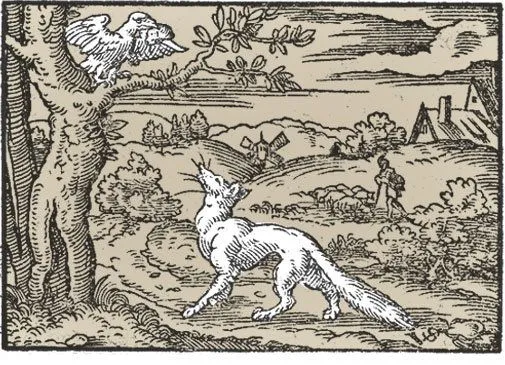 Fabulas Cortas: Fabula el Águila y la Zorra Fabulas Cortas: Fabula el Águila y la Zorra