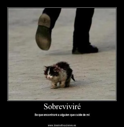 Para facebook - Frases, imagenes y desmotivaciones ...