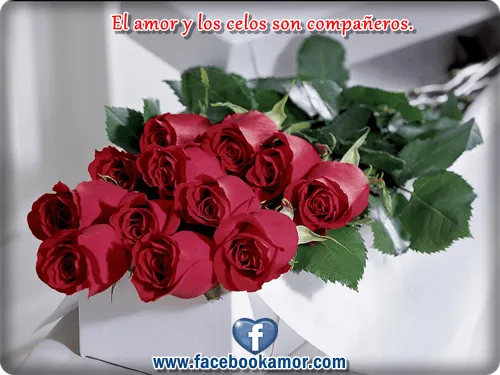 Facebook Ramo De Rosas Violeta Para Pictures Facebook Ramo De Rosas Violeta Para Pictures