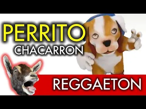 Factor X Xs Perrito Bailando y Cantando Regueton - YouTube