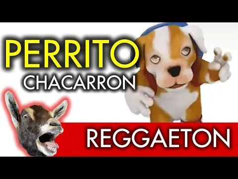 Factor X Xs Perrito Bailando y Cantando Regueton - YouTube Factor X Xs Perrito Bailando y Cantando Regueton - YouTube