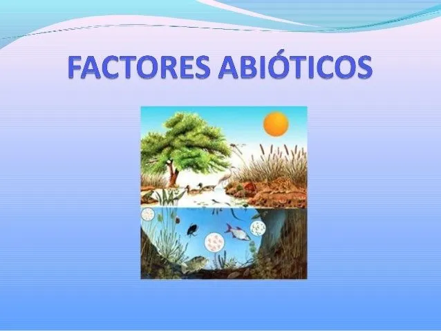 Factores abióticos Factores abióticos