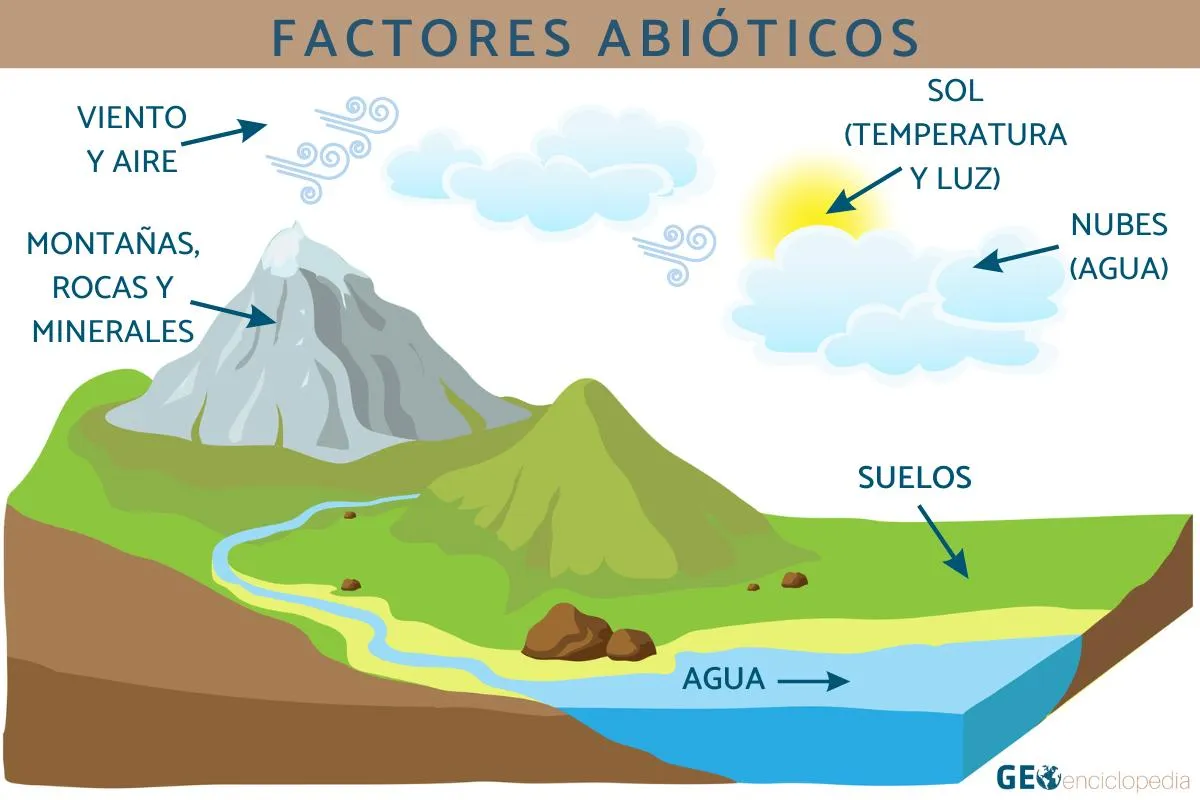 Factores abióticos: qué son, características y ejemplos - Resumen Factores abióticos: qué son, características y ejemplos - Resumen