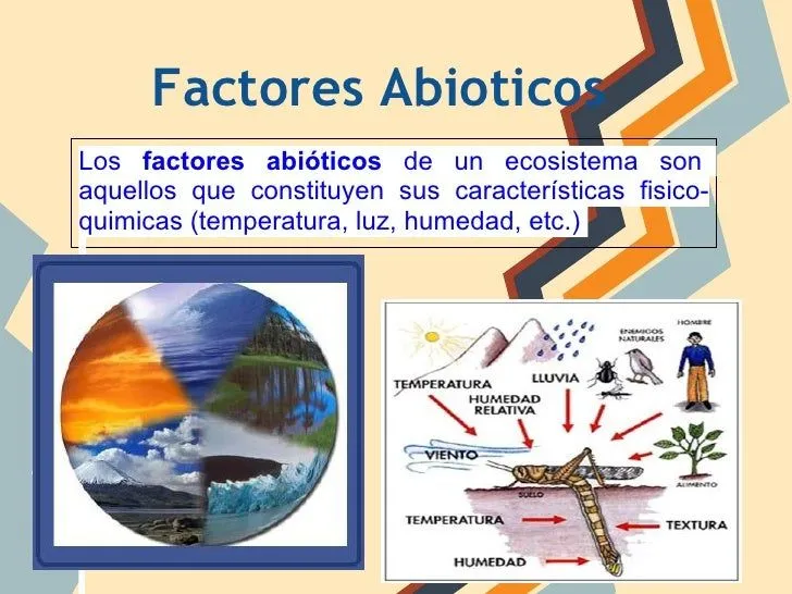 Factores Bióticos y Abióticos Factores Bióticos y Abióticos