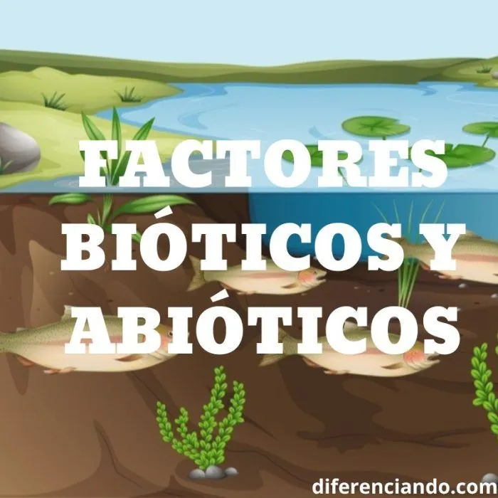 Factores bióticos y abióticos: definición, características y ejemplos - Diferenciando Factores bióticos y abióticos: definición, características y ejemplos - Diferenciando