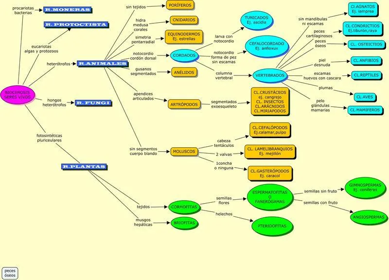 Factores bióticos (Biocenosis=Seres Vivos) | Pearltrees Factores bióticos (Biocenosis=Seres Vivos) | Pearltrees