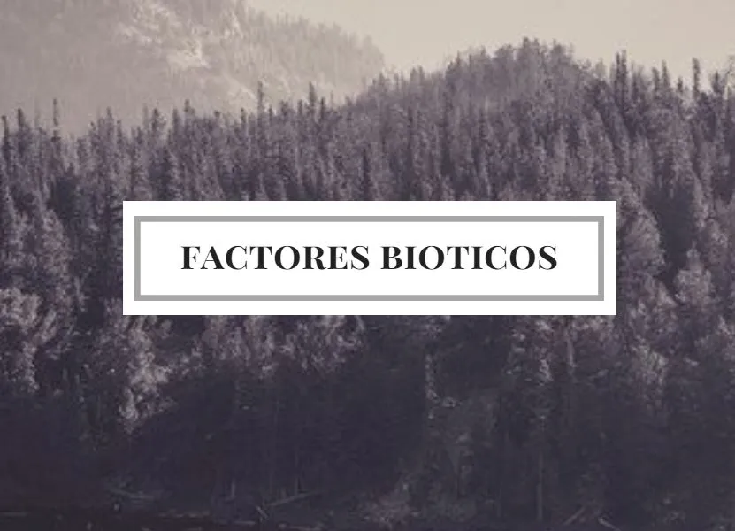 Factores bióticos; Tipos, relaciones, ejemplos y concepto biótico | OVACEN Factores bióticos; Tipos, relaciones, ejemplos y concepto biótico | OVACEN