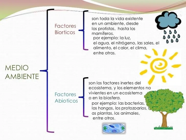 factores-bioticos-y-abioticos- ...