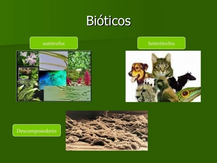 factores-delmedioambiente-4- ...