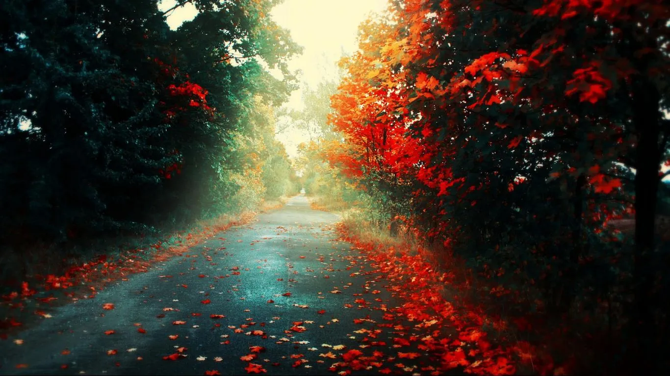 Fall-wallpaper-hd-wallpaper- ...